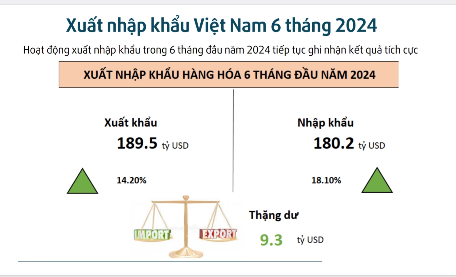 Xuất nhập khẩu Việt Nam 6 tháng 2024 (Nguồn: Cục Xuất nhập khẩu, Bộ Công thương).