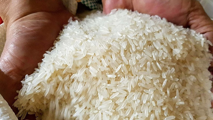 Dự báo nhập khẩu gạo của Philippines năm 2024 có thể đạt tới 4,5 triệu tấn