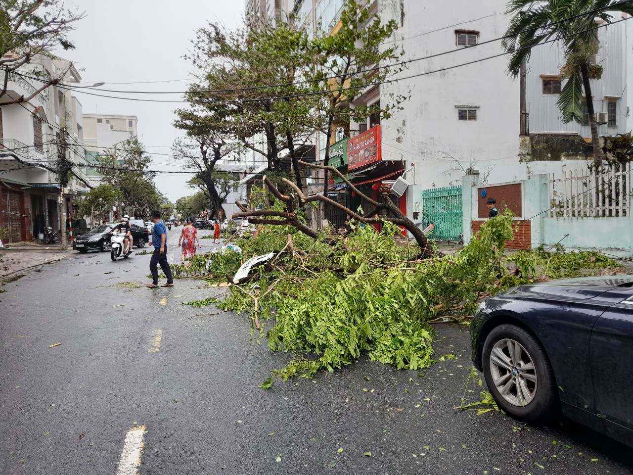 Thành phố Đà Nẵng không ghi nhận thiệt hại về người sau bão.