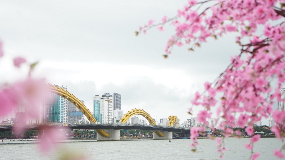 Dọc đôi bờ sông Hàn được trang trí nhiều loại hoa, cây cảnh đẹp mắt.