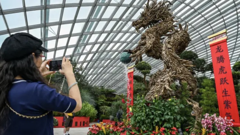 Du khách chụp ảnh trước tác phẩm điêu khắc gỗ linh vật Rồng tại công viên “Gardens by the Bay” (Singapore) vào ngày 1/2/2024. Ảnh: AFP