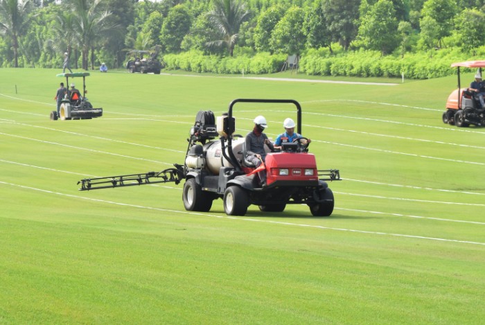 Các sân golf cần được sử dụng rất nhiều hoá chất để chăm sóc bề mặt cỏ trên sân