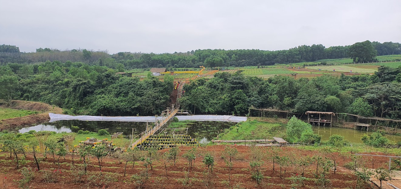Dự án đang được triển khai các hạng mục xây dựng cảnh quan bên ngoài phạm vi rừng nguyên sinh