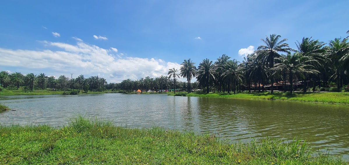 Khu vực công viên Cọ Dầu. TP. Đông Hà, tỉnh Quảng Trị