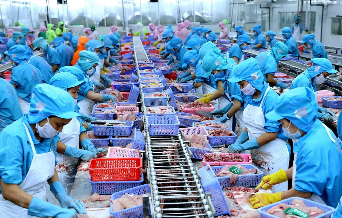 Chế biến thủy sản của doanh nghiệp Việt