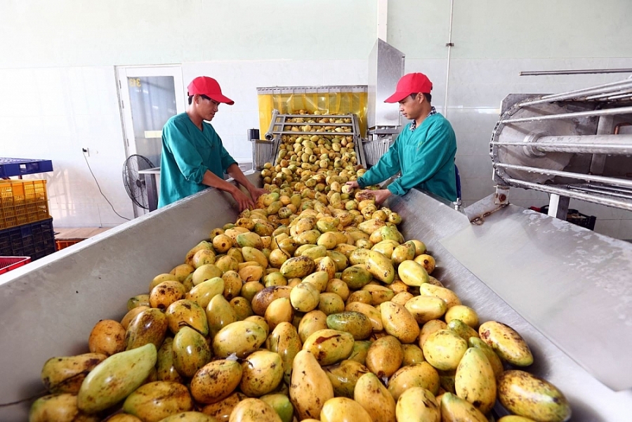 An toàn vệ sinh thực phẩm là nguyên tắc cao nhất để xuất khẩu nông sản sang Trung Quốc.