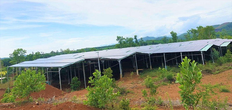 : Hệ thống điện mặt trời “mọc” lên trên khu đất mà HTX Nông nghiệp Mỹ Tân An được tỉnh Quảng Nam giao để thực hiện để đầu tư xây dựng trang trại sản xuất nông, lâm nghiệp.