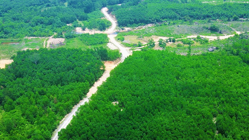 Một khu vực đất trồng rừng tại thôn Thủy Dương, xã Lộc Tiến – nơi Công ty TNHH Lộc Lợi khai thác đất trái phép (Ảnh: L.N)