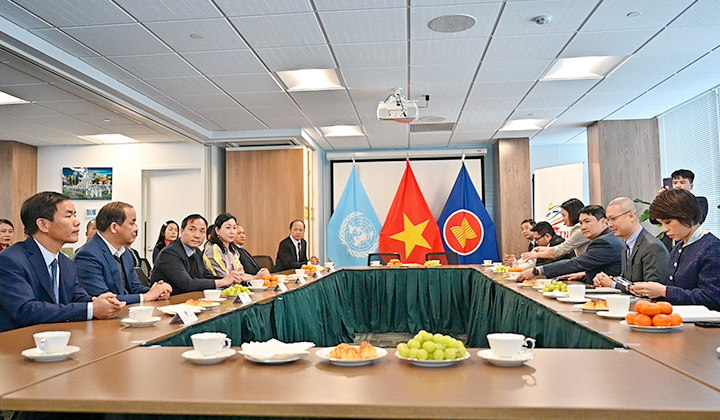 Đoàn công tác có buổi làm việc với Phái đoàn Thường trực Việt Nam tại Liên hợp quốc
