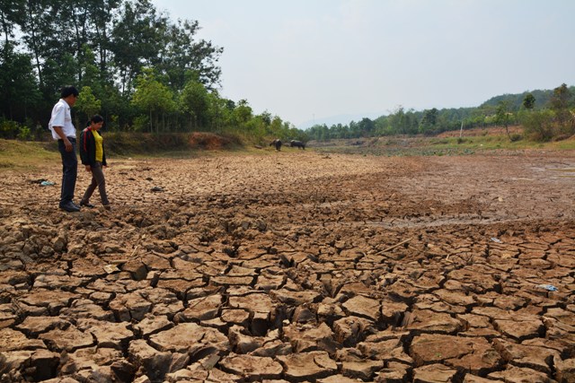 Theo UBND tỉnh Kon Tum, hiện nay, theo số liệu thống kê của các địa phương diện tích sản xuất bị khô hạn, thiếu nước khoảng 112 ha. 