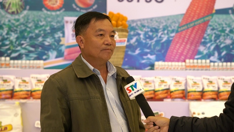 Nhà nông Lò Văn Mậu chia sẻ về trải nghiệm trồng thử giống ngô 9979C trên ruộng nhà mình