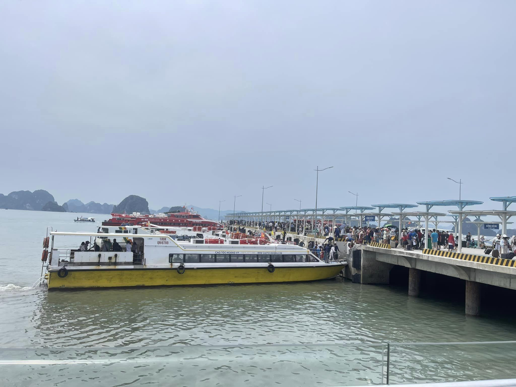 Du khách di chuyển từ các tuyến đảo về Cảng tàu khách quốc tế Ao Tiên (huyện Vân Đồn). Ảnh: Sở Giao thông Vận tải Quảng Ninh