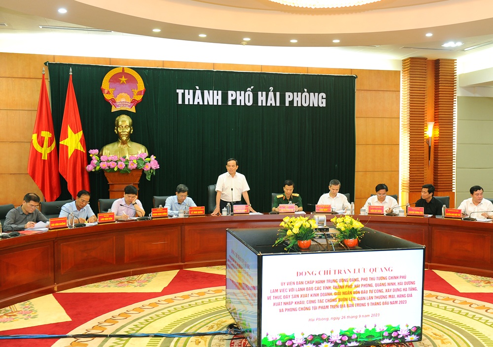 Phó Thủ tướng Chính phủ Trần Lưu Quang phát biểu kết luận Hội nghị