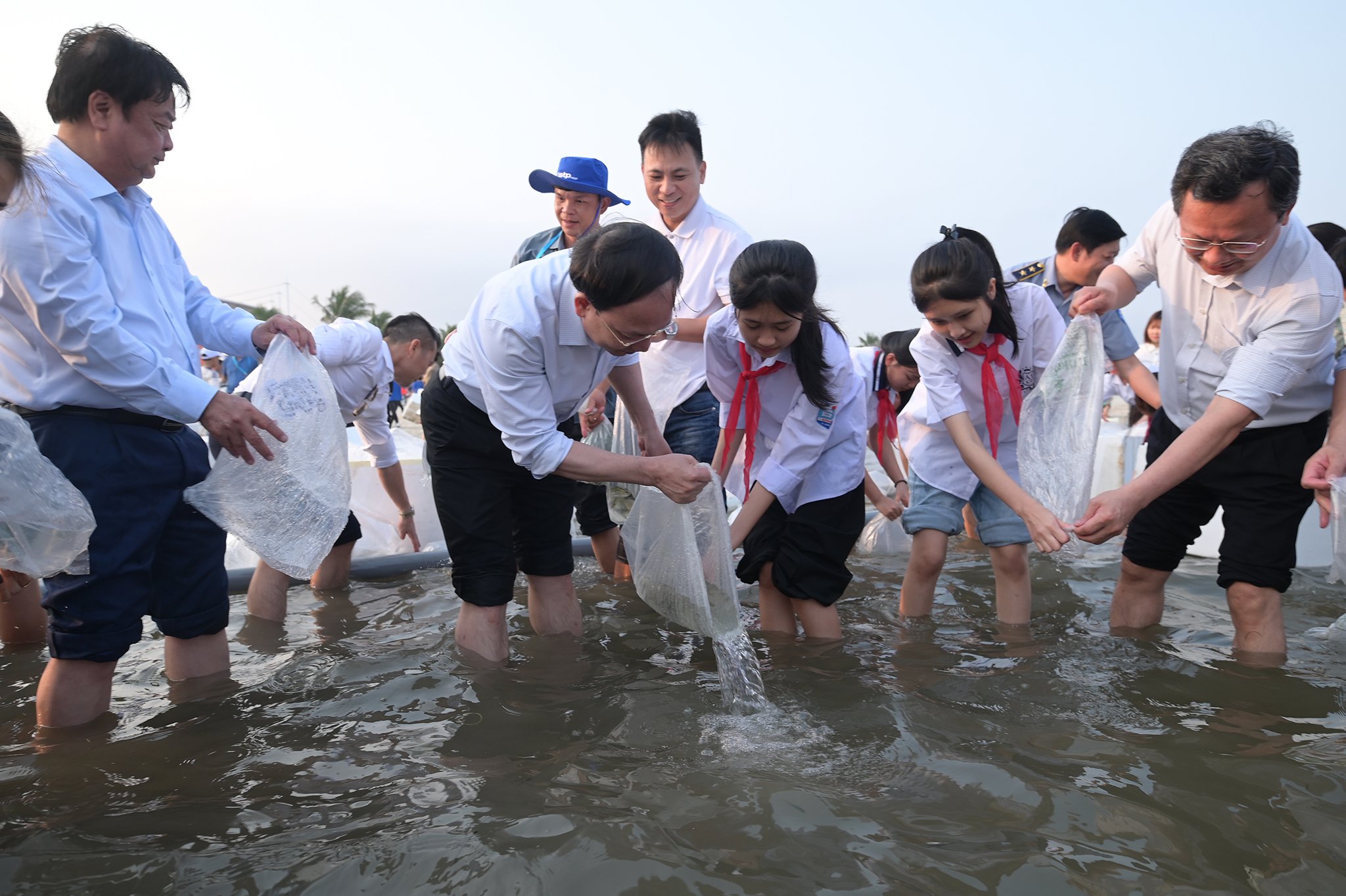 Các đại biểu tham gia thả giống tái tạo nguồn lợi thủy sản tại bãi biển Phương Đông, huyện Vân Đồn chiều 31/3