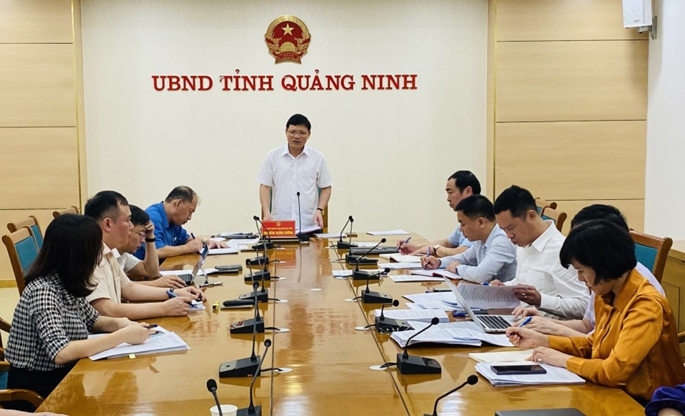 Ông Nghiêm Xuân Cường, Phó chủ tịch UBND tỉnh Quảng Ninh phát biểu tại cuộc họp. Ảnh: Hải Hà