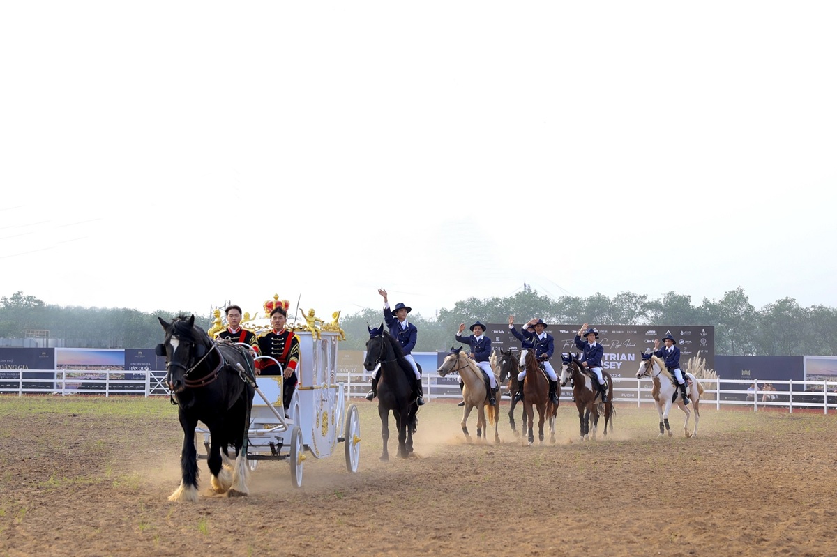 Diễu hành ra mắt nhiều loại ngựa quý tại buổi khai trương học viện cưỡi ngựa ở Hải Phòng