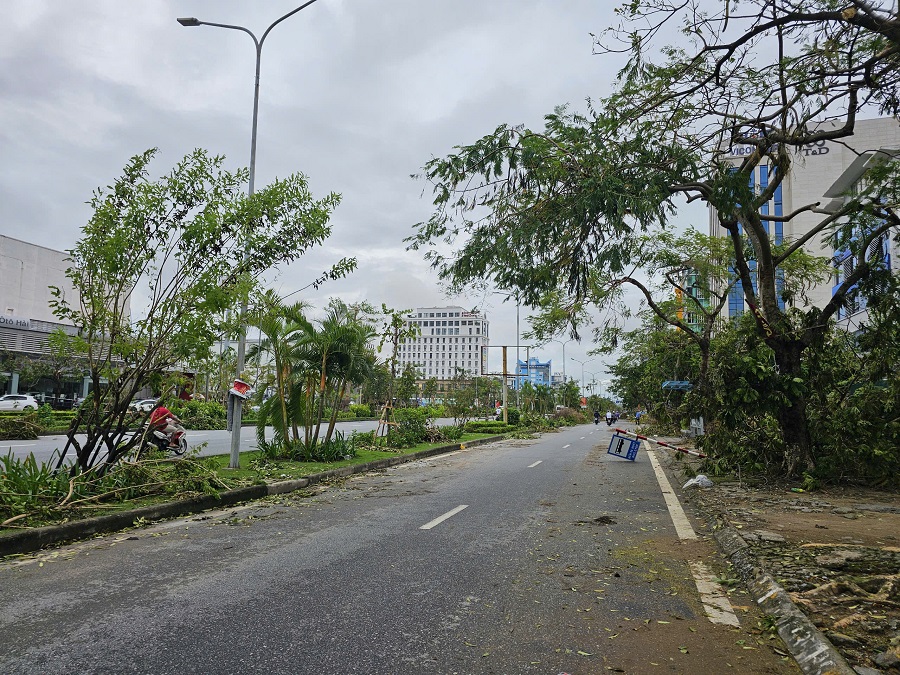 Hầu hết các tuyến đường, tuyến phố tại Hải Phòng bị gãy đổ cây xanh, đèn chiếu sáng, đèn tín hiệu giao thông, biển báo... do cơn bão số 3. Ảnh: Thanh Sơn