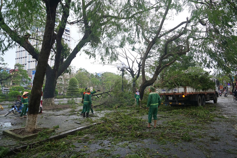 Nhân viên Công ty TNHH MTV Môi trường đô thị Hải Phòng thu dọn cây đổ trên các tuyến phố