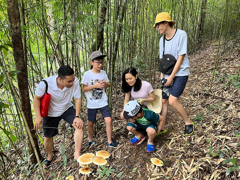 Khu bảo tồn thiên nhiên Đồng Sơn - Kỳ Thượng là nơi có sự đa dạng sinh học rất cao. Trong ảnh, khu khách thích thủ trải nghiệm trong khu rừng trúc tự nhiên tại thôn Khe Phương, xã Kỳ Thượng.
