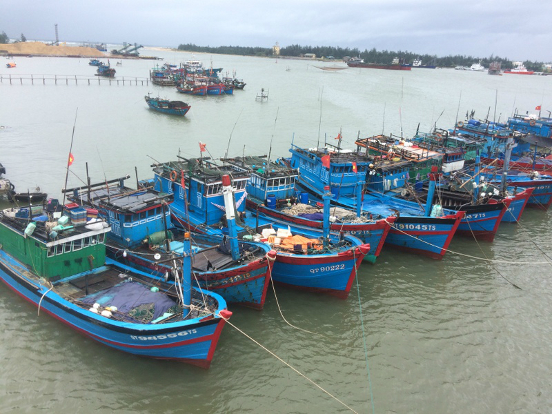 Tổng số tàu cá trên toàn tỉnh Quảng Trị là 2.286 chiếc, với tổng công suất 140.043,6 CV