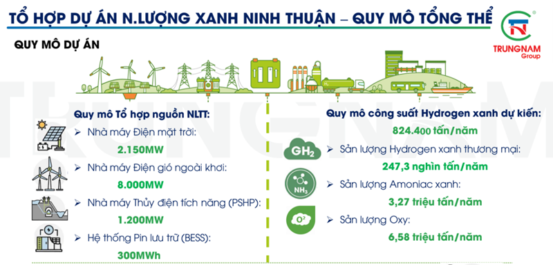 Thông tin về Tổ hợp Dự án Năng lượng xanh Ninh Thuận. Nguồn: Trung Nam Group.
