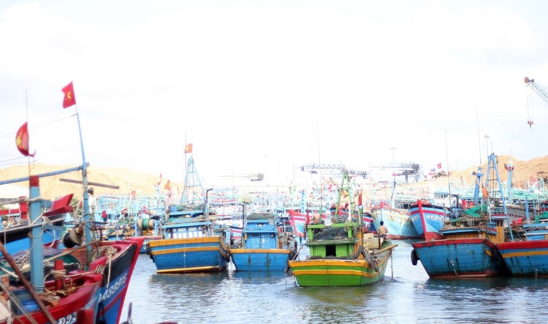 Bình Định sẽ di dời các tàu cá ở khu vực biển Quy Nhơn để phát triển du lịch