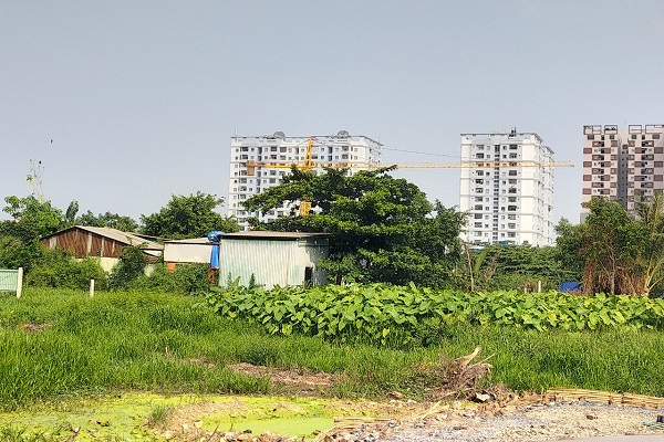 Các công trình xây dựng trái phép nằm ngay cạnh các Dự án chung cư cao tầng tại phường Tam Bình, TP.Thủ Đức