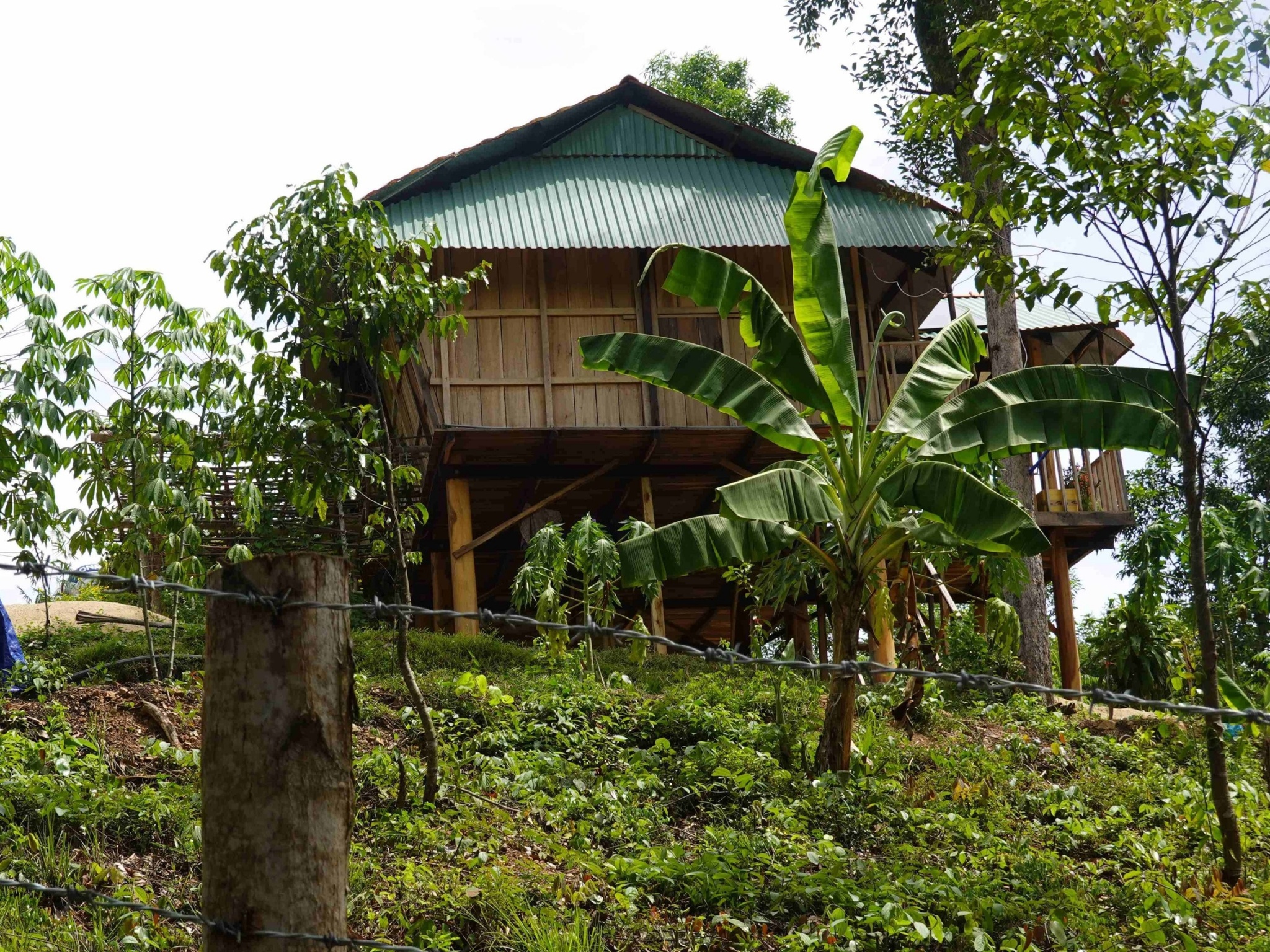 hu đất rừng phòng hộ bị chiếm để dựng nhà sàn của bà Trương Thị Lệ Thâm ở xã Vĩnh Hảo, huyện Vĩnh Thạnh