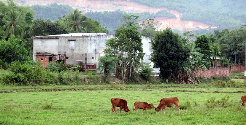 Ở Đà Nẵng hiện có hơn 600 ha đất nông nghiệp bỏ hoang.