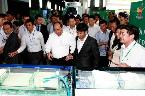 Thủ tướng Chính phủ thăm gian tôm giống của Công ty TNHH Đầu tư Thủy sản Nam miền Trung