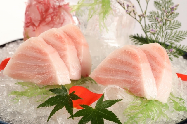 Sashimi Otoro cá ngừ