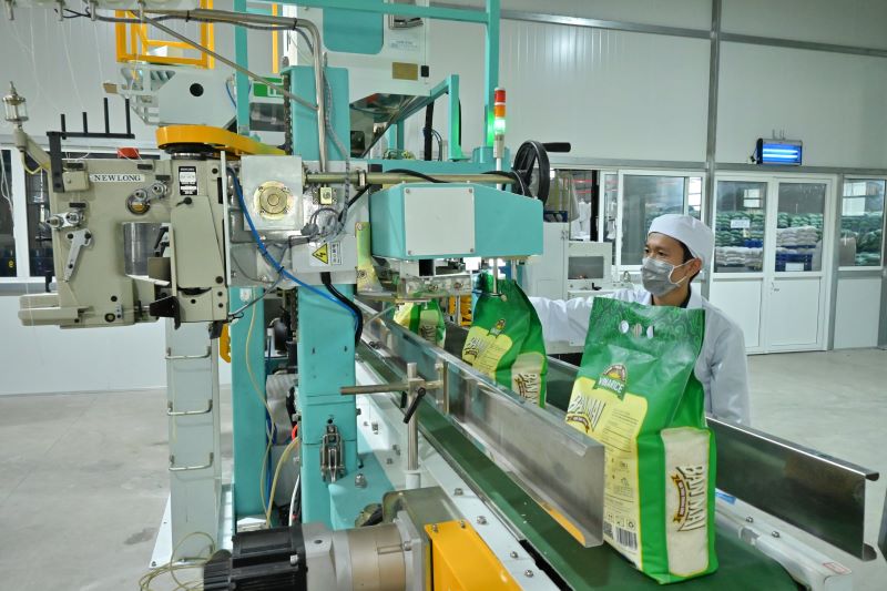 kinh tế tuần hoàn là hướng đi tất yếu giúp nâng cao năng lực cạnh tranh, tạo giá trị gia tăng bền vững cho nông nghiệp Việt Nam.