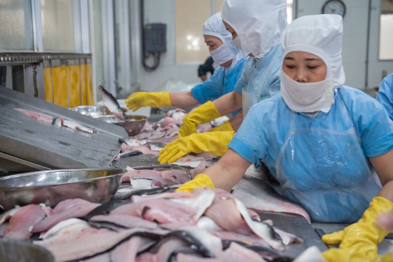 Chế biến thủy sản xuất khẩu tại nhà máy, phục vụ các thị trường lớn như Mỹ, EU và Nhật Bản.