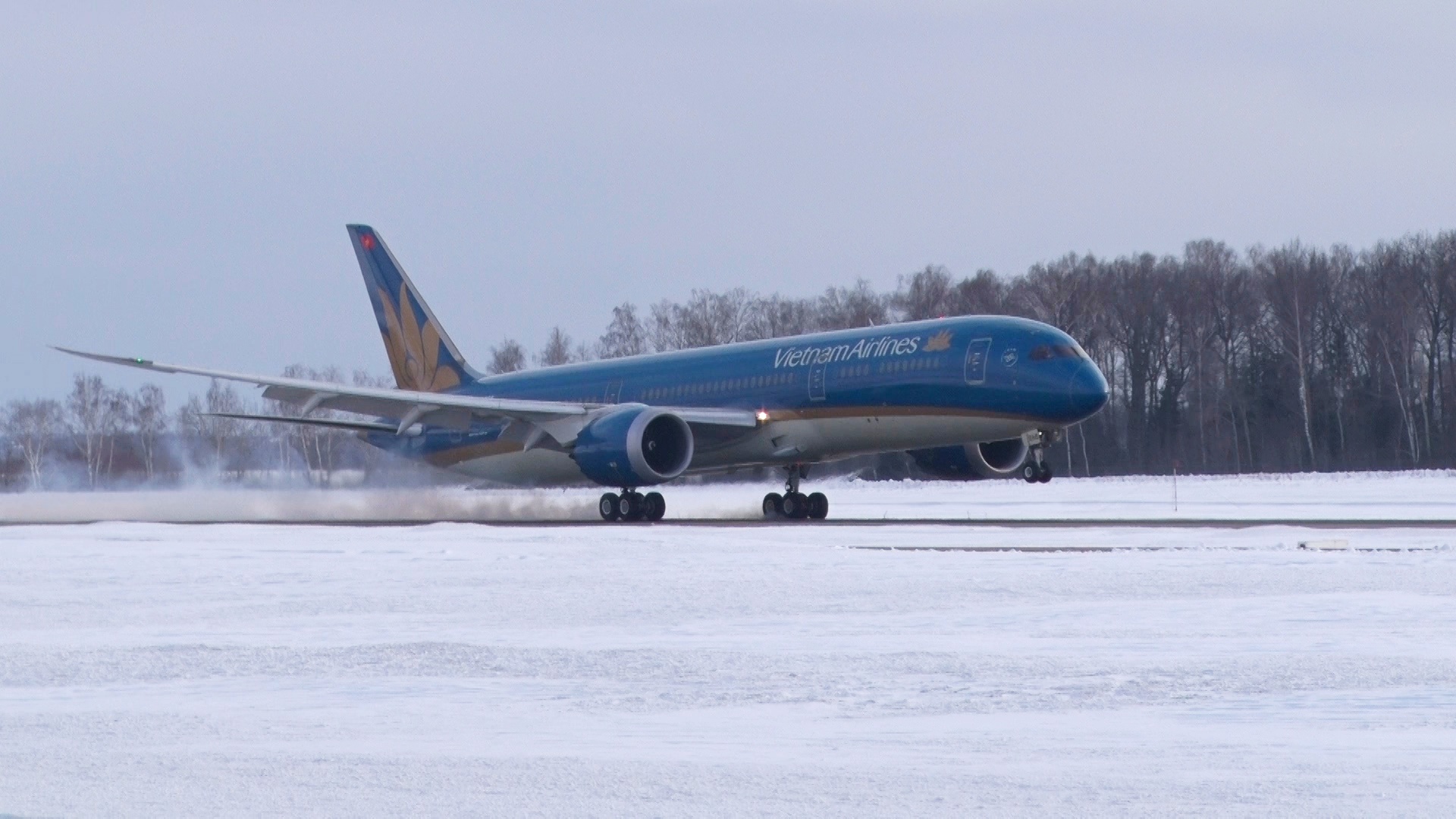 Máy bay Boeing 787 của Vietnam Airlines hạ cánh tại sân bay Domodedovo (Moscow).