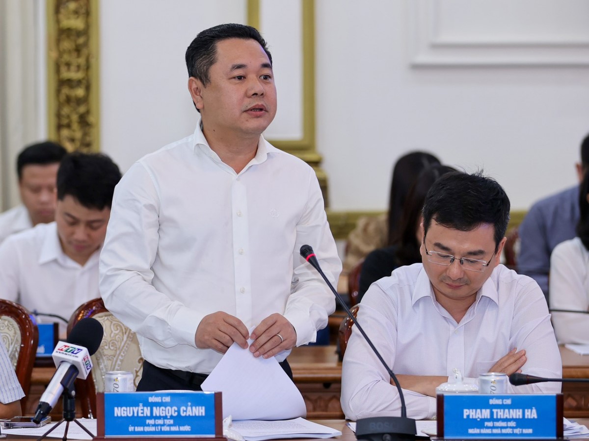 Phó Chủ tịch Ủy ban Quản lý vốn nhà nước tại doanh nghiệp Nguyễn Ngọc Cảnh phát biểu tại buổi làm việc.