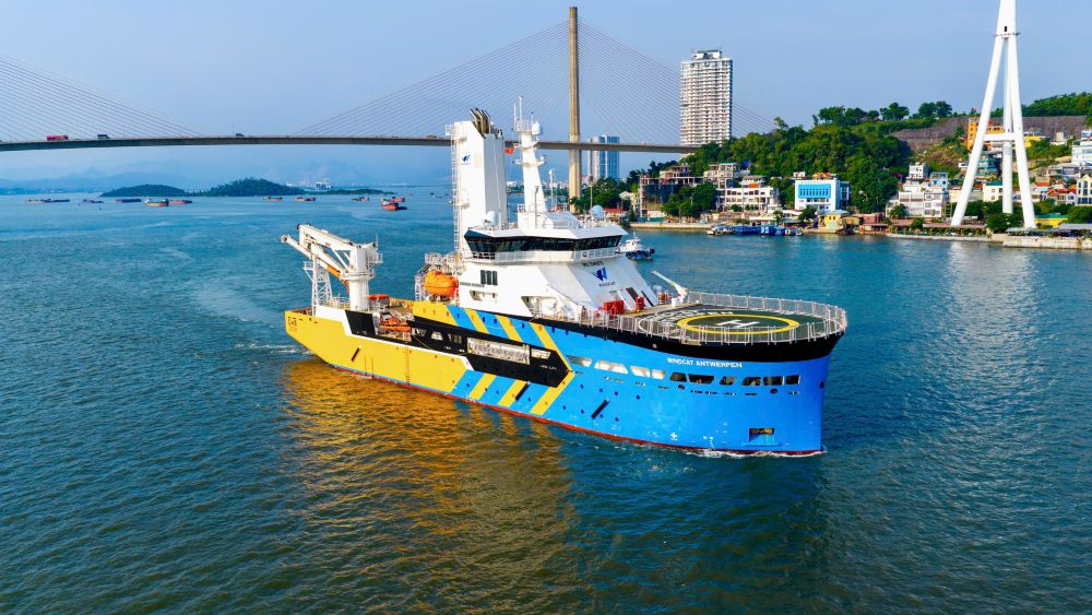 t&agrave;u dịch vụ điện gi&oacute; ngo&agrave;i khơi CSOV 8720 &ndash; YN552208, mang t&ecirc;n WINDCAT ANTWERPEN