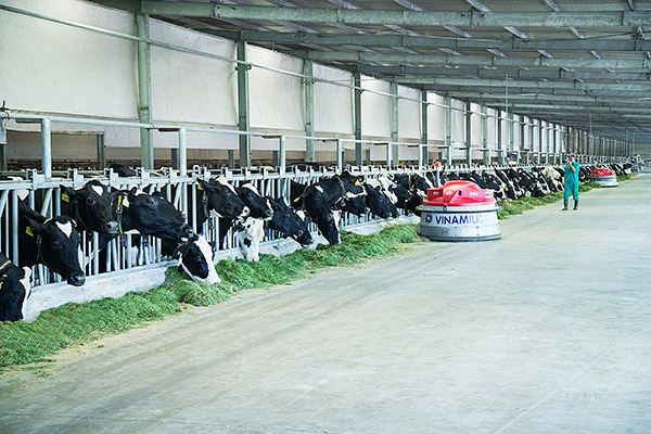 Theo kết quả nghiên cứu thị trường gần đây thì sản phẩm sữa tươi có nhãn hiệu VINAMILK 100% của công ty đang đứng đầu về sản lượng và doanh số bán ra trong phân khúc sữa tươi, ngành hàng sữa nước