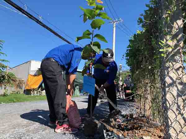 THanh niên xã Đa Phước tham gia hoạt động trồng cây hưởng ứng ngày Môi trường thế giới tại xã Đa Phước, TP.HCM