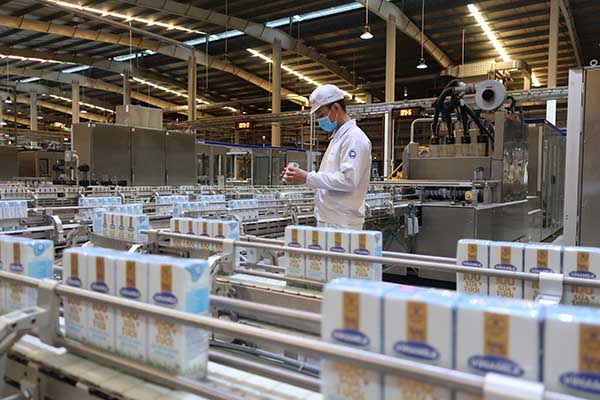 Dây chuyền sản xuất hiện đại tại nhà máy của Vinamilk, đảm bảo chất lượng sản phẩm theo các tiêu chuẩn quốc tế 