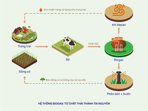 Sơ đồ vòng tròn quản lý nguồn đất bền vững được thực hiện tại các trang trại bò sữa của Vinamilk