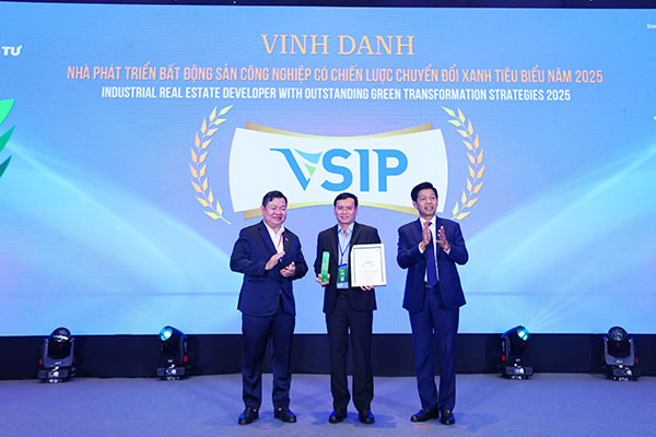 Được thành lập từ năm 1996, Các Dự án khu công nghiệp VSIP được thực hiện thông qua liên doanh giữa Becamex IDC của Việt Nam và Sembcorp Development, thuộc sở hữu của Sembcorp Industries (Singapore).  VSIP Group hiện đang phát triển 20 Khu đô thị, công nghiệp và dịch vụ trên khắp Việt Nam với tổng diện tích 12.000Ha. VSIP hỗ trợ cho hơn 1.000 khách hàng đến từ 30 quốc gia và vùng lãnh thổ với tổng vốn đầu tư là 23,4 tỷ Đô la Mỹ.