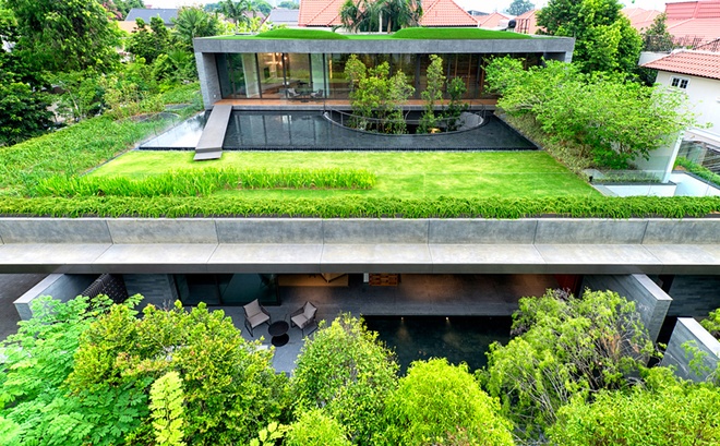 Ngôi nhà độc đáo với thiết kế phủ kín bởi cây xanh, hồ nước