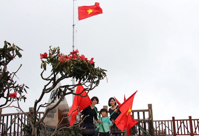 Đỗ quyên theo chân khách lên tới đỉnh núi cao 3.143m, nơi cây hoa đỗ quyên Quang Trụ - cây di sản Việt Nam, đang bừng lên sắc đỏ, rực rỡ như sắc cờ Tổ quốc