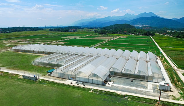  Đặc biệt, VinEco cũng vừa hoàn thiện và đưa vào sử dụng nhà máy sản xuất nấm sạch với thiết bị được nhập khẩu 100% theo công nghệ Hàn Quốc