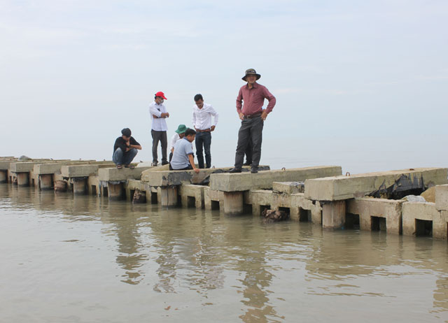 Chi Cục Thủy lợi tỉnh Cà Mau khảo sát hiệu quả bước đầu của đoạn kè thí nghiệm bảo vệ đê biển Tây, thuộc địa bàn xã Khánh Tiến, huyện U Minh