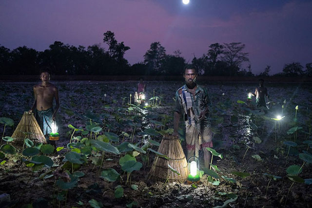 Ảnh “Người dân bẫy cá bằng năng lượng mặt trời ở Ấn Độ” đạt giải ấn tượng trong cuộc thi Nhiếp ảnh gia vì môi trường năm 2016 . Ảnh: Ruben Salgado Escudero