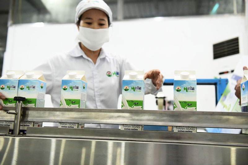 Các sản phẩm sữa tươi Mộc Châu Milk đưa ra thị trường đều đáp ứng các tiêu chuẩn khắt khe về chất lượng và giữ trọn hương vị thơm ngon của sữa tươi nguyên chất