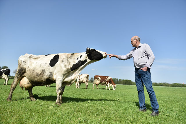 Người nông dân của Cô Gái Hà Lan luôn có kinh nghiệm, kiến thức khoa học – kỹ thuật tốt trong việc chăn nuôi bò sữa
