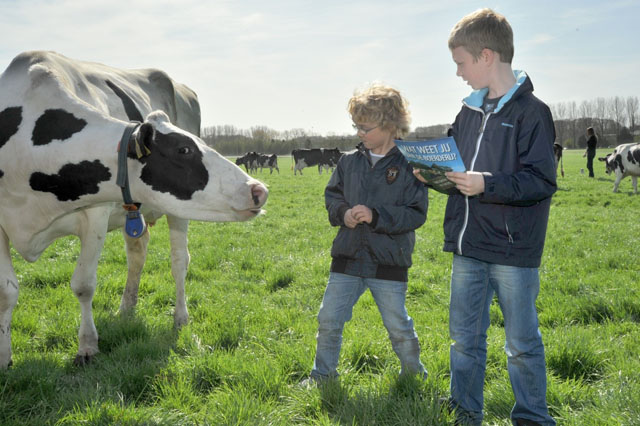 Sự cao lớn của người Hà Lan gắn liền với nguồn sữa tươi chất lượng mà họ uống hàng ngày