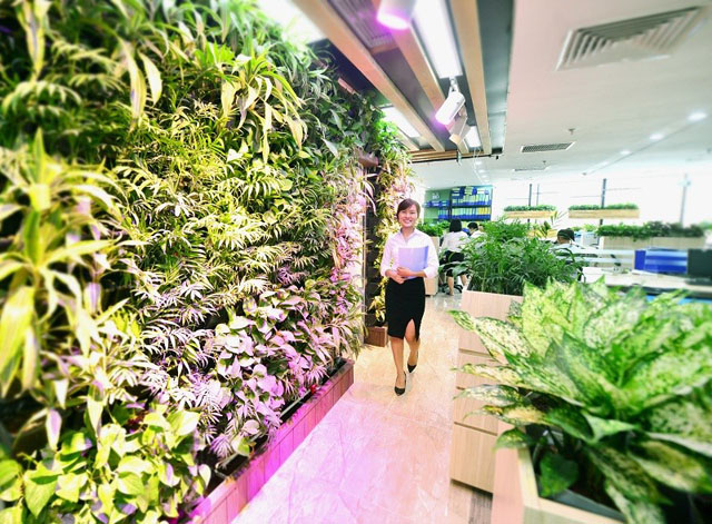 Văn phòng Xanh EcoLife Capitol được cấp chứng chỉ xanh Lotus, không chỉ những mang lại không gian làm việc xanh mát cho nhân viên, mà giúp chủ doanh nghiệp tiết kiệm năng lượng và bảo vệ môi trường